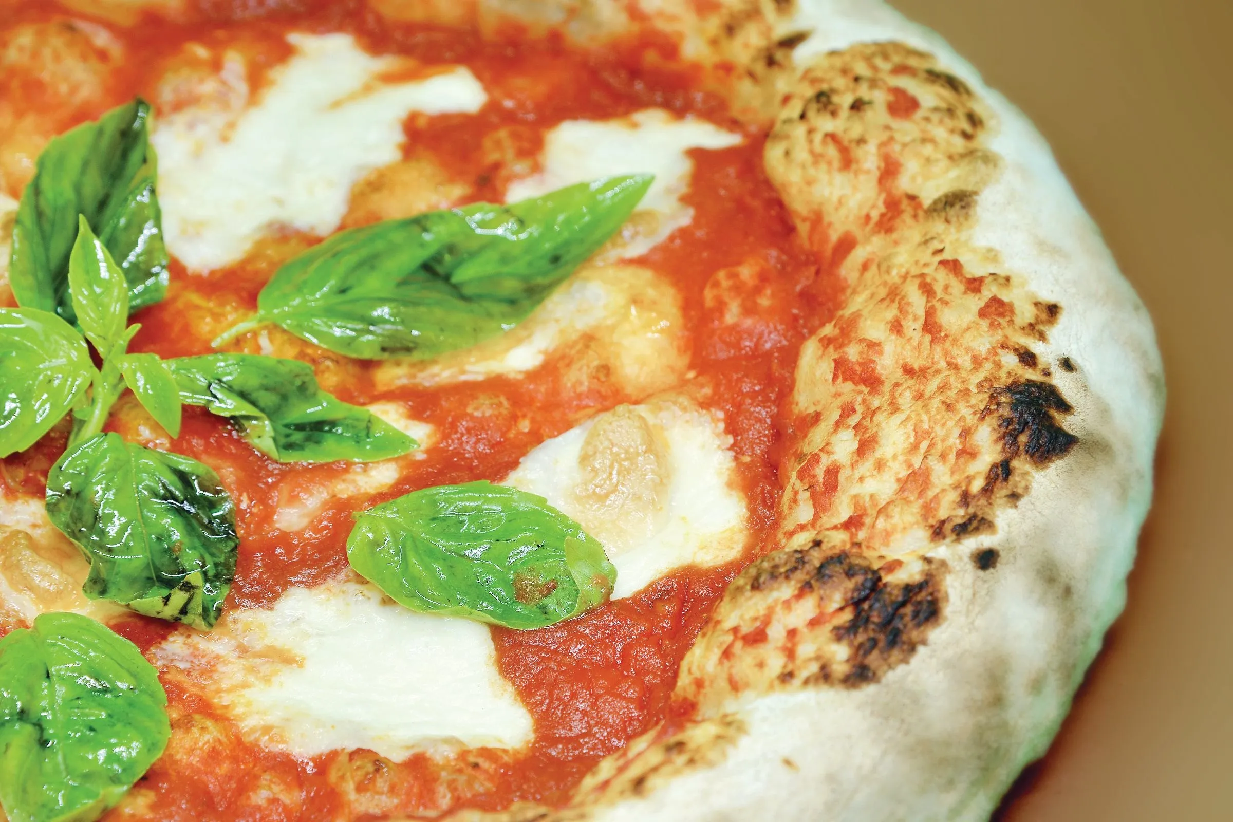 Close-up of a Neapolitan pizza with mozzarella and fresh basil